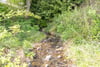 Sunnyhall Mill, Lundie, Dundee, Angus, DD2 5NZ - Picture #11