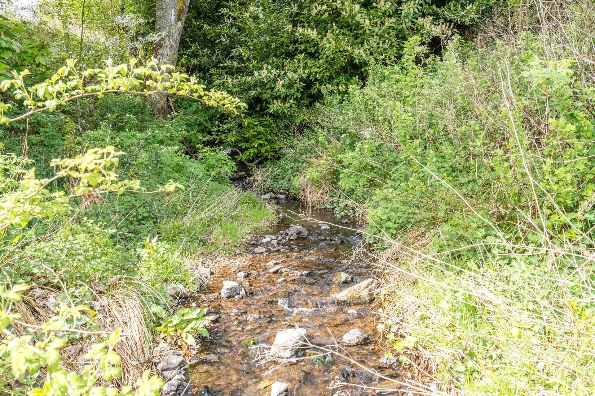 Sunnyhall Mill, Lundie, Dundee, Angus, DD2 5NZ - Picture #11