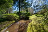 Culbuie House, Culbowie Road, Buchlyvie, Stirling, Stirlingshire, FK8 3NY - Picture #31