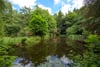 House On The Hill, Glen Road, Dunblane, Stirlingshire, FK15 0HR - Picture #23