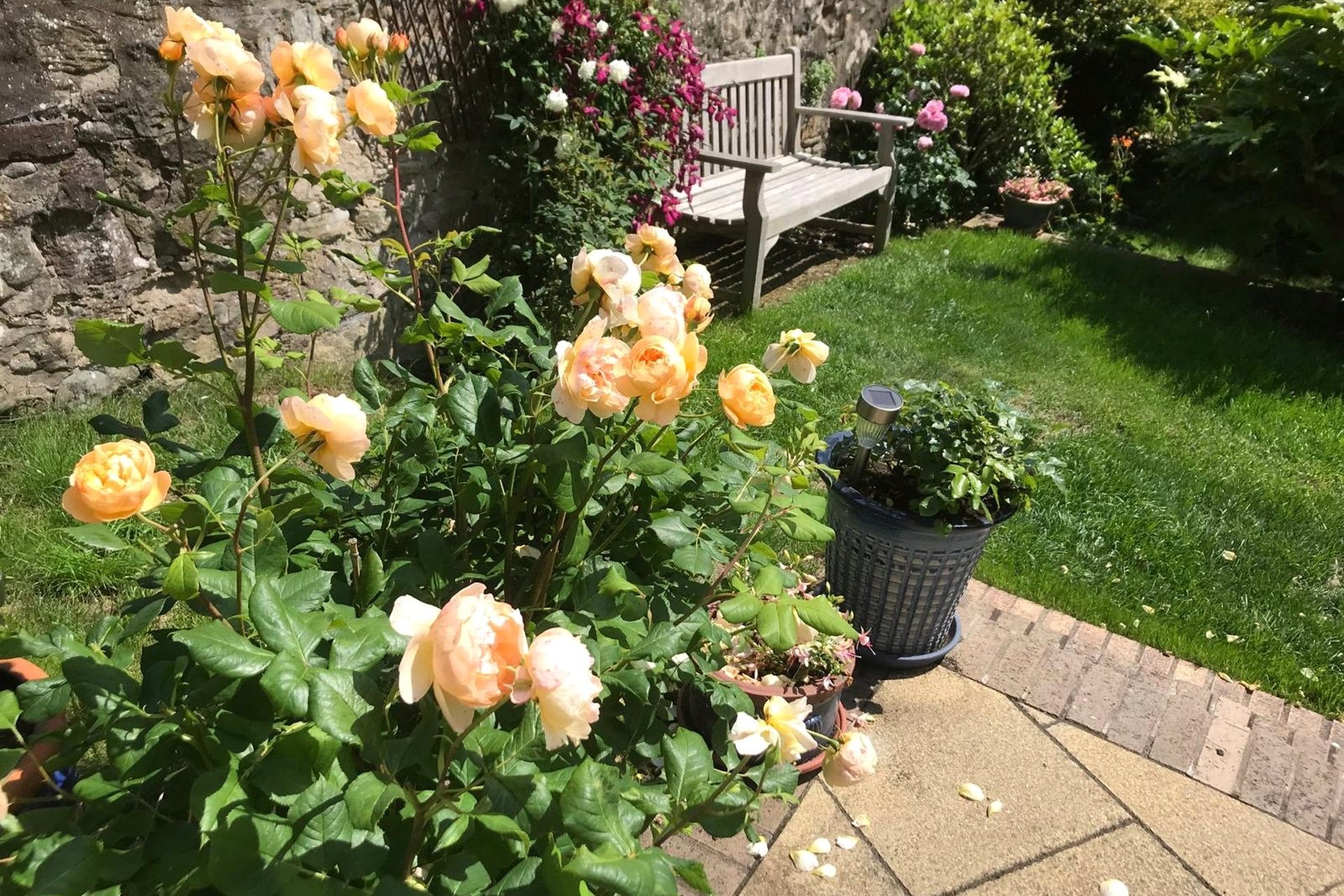 11 Belford Terrace, Edinburgh, EH4 3DQ - Picture #28