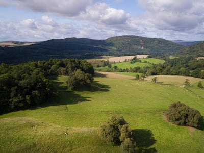 Stenton Batch landscape and forestry image.