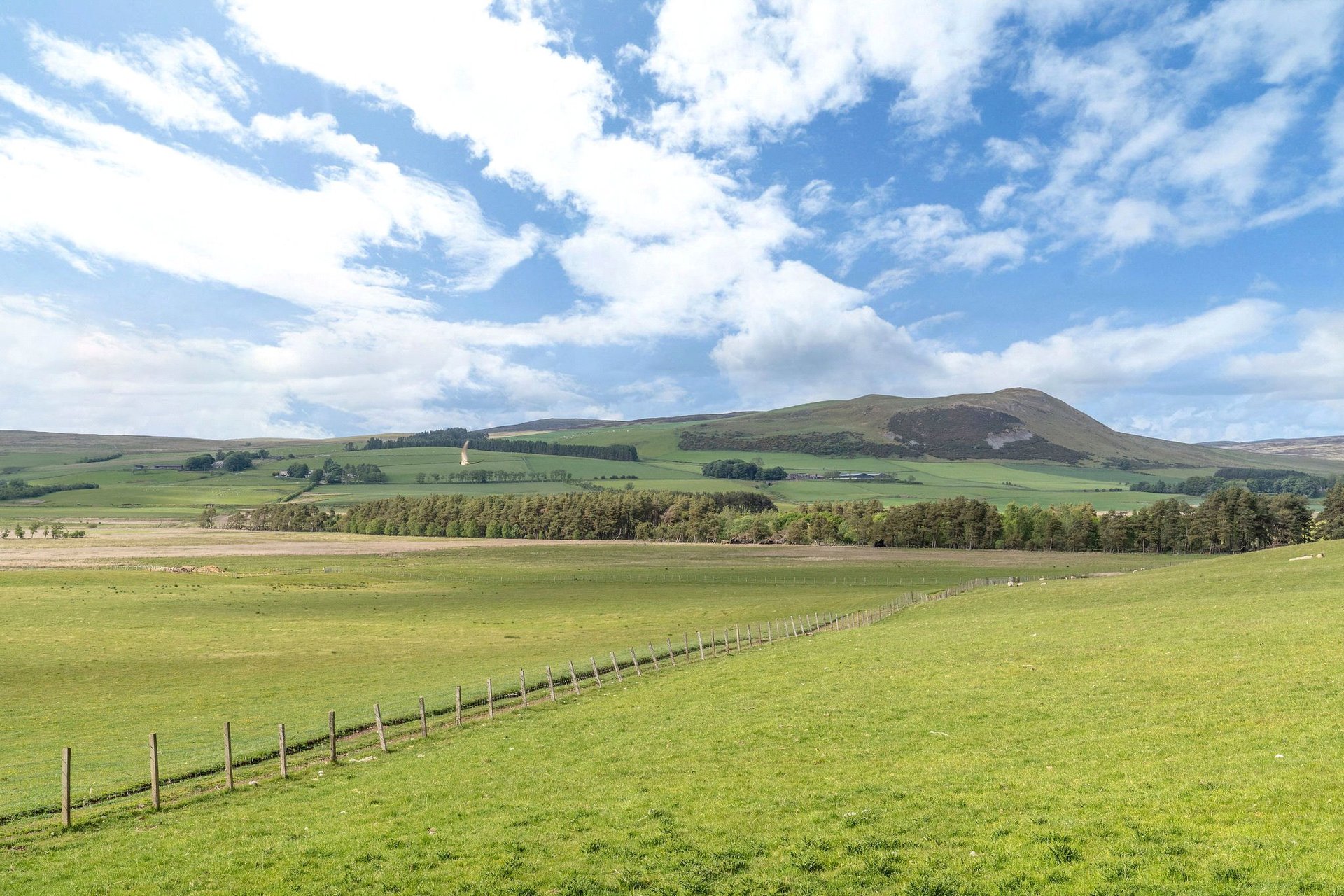 Borland Farm, Walston, Carnwath, Lanark, South Lanarkshire, ML11 8NF - Picture #28