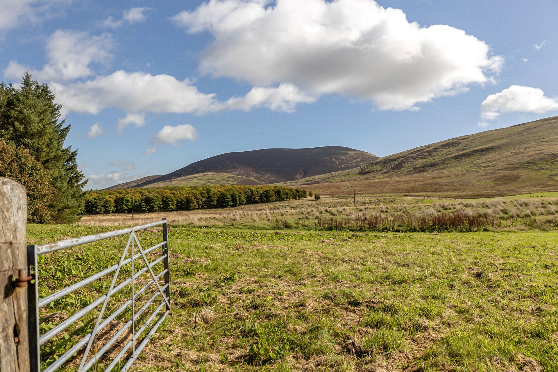 Howgate Farm, Thankerton, Biggar, South Lanarkshire, ML12 6NQ - Picture #52