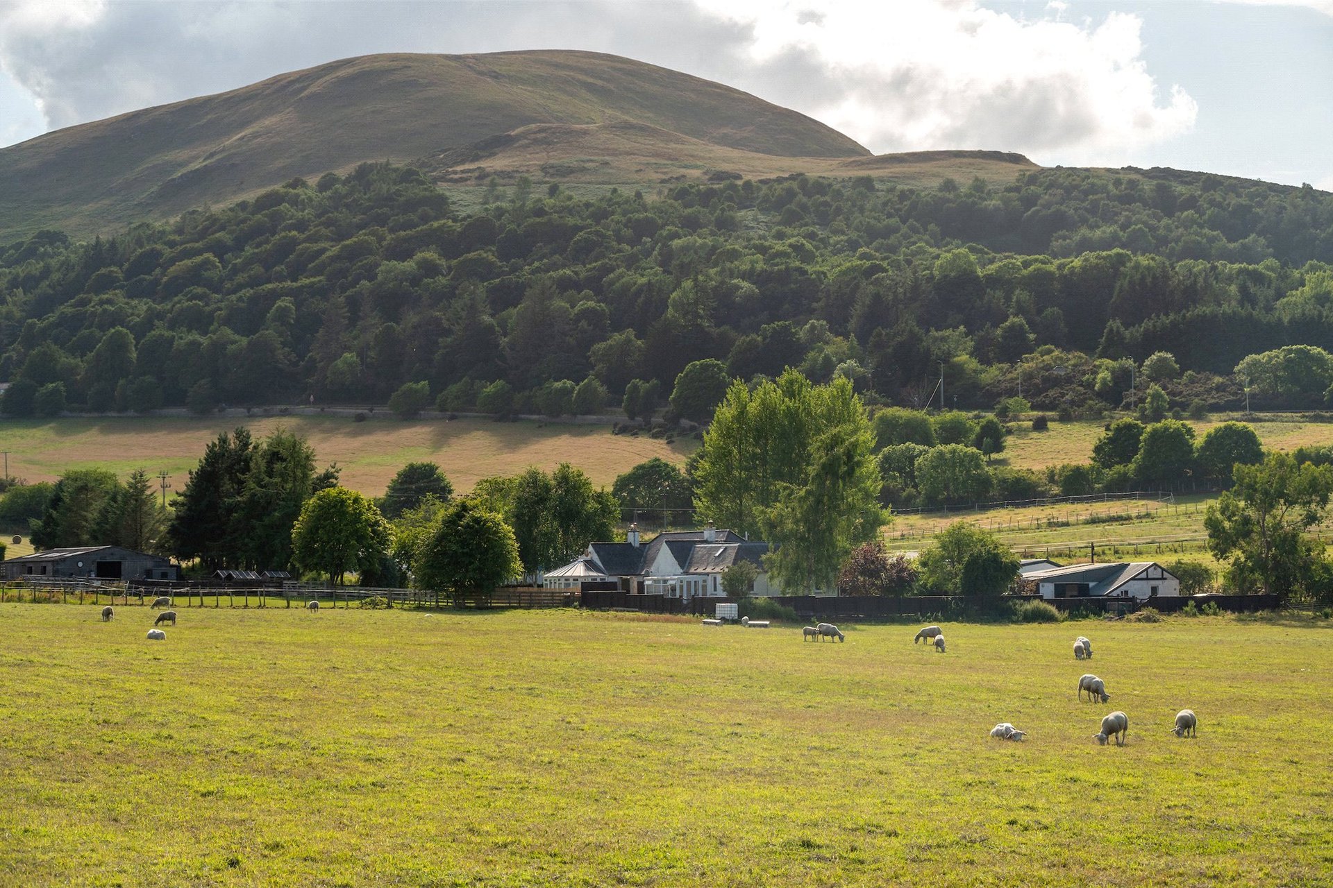 Lot 1 - 24 Damhead, 24 Damhead, Lothianburn, Edinburgh, EH10 7EA - Picture #33