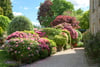 Glenwood, The Crescent, Dunblane, Stirlingshire, FK15 0DL - Picture #46
