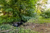 11 Wellknowe Place, Thorntonhall, Glasgow, South Lanarkshire, G74 5QA - Picture #53