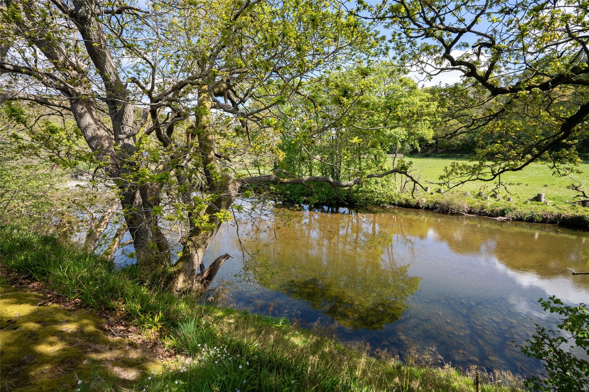 6 Woodend Crescent, Ettrickbridge, Selkirk, Scottish Borders, TD7 5JQ - Picture #34
