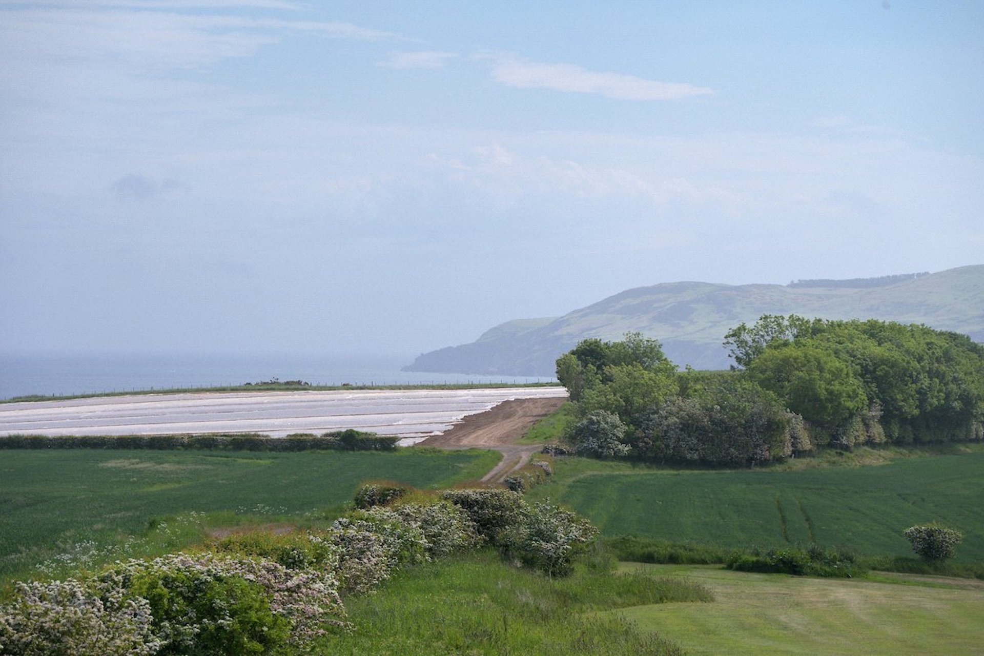 The Old Stackyard, Cove Farm, Cockburnspath, Berwickshire, TD13 5YP - Picture #13