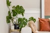 0/1, 31 Dundrennan Road, Glasgow, Glasgow City, G42 9SB - Picture #6