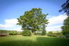 West Park Farm, Grandtully, Perth And Kinross, Perthshire, PH15 2EQ - Picture #19