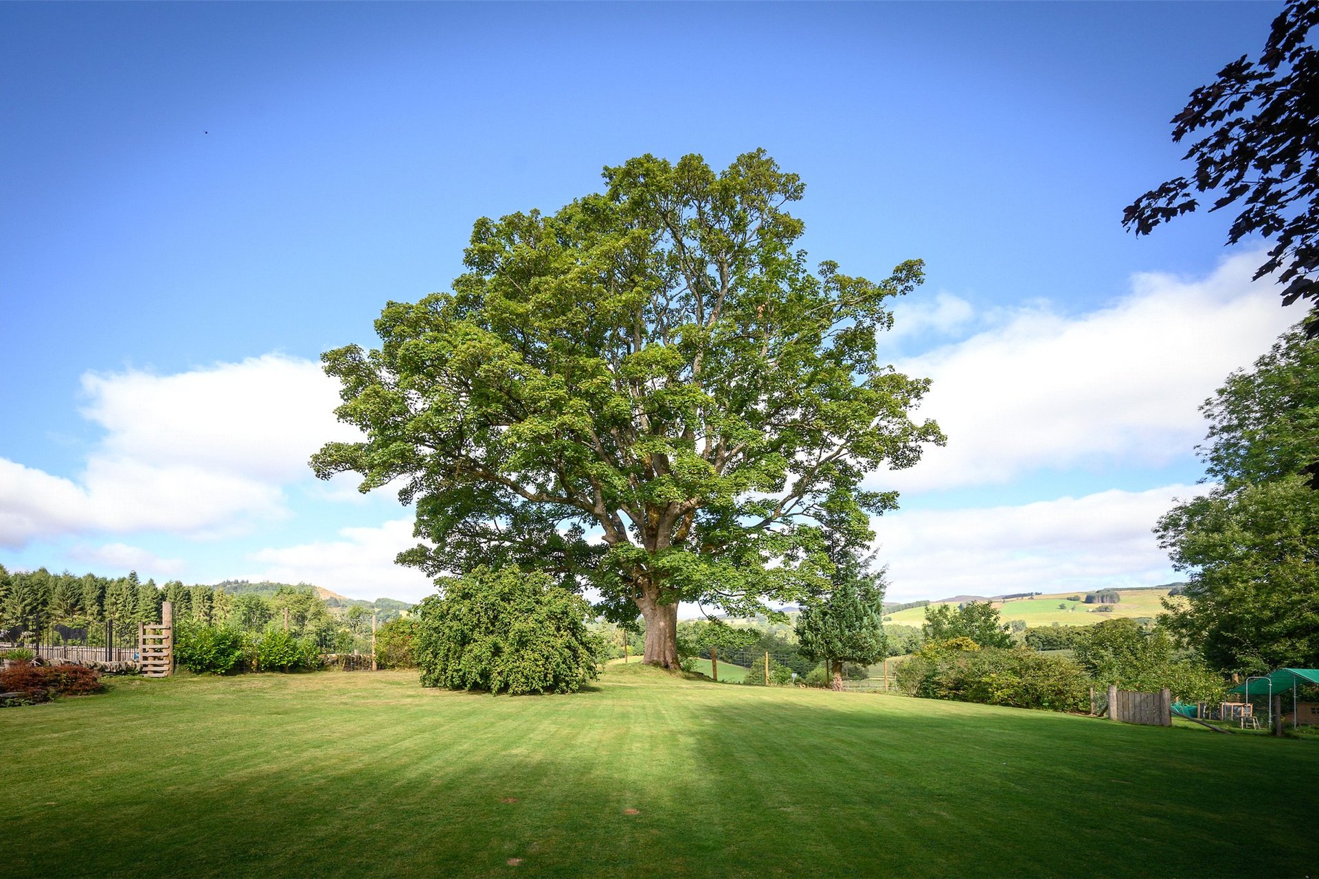 West Park Farm, Grandtully, Perth And Kinross, Perthshire, PH15 2EQ - Picture #19