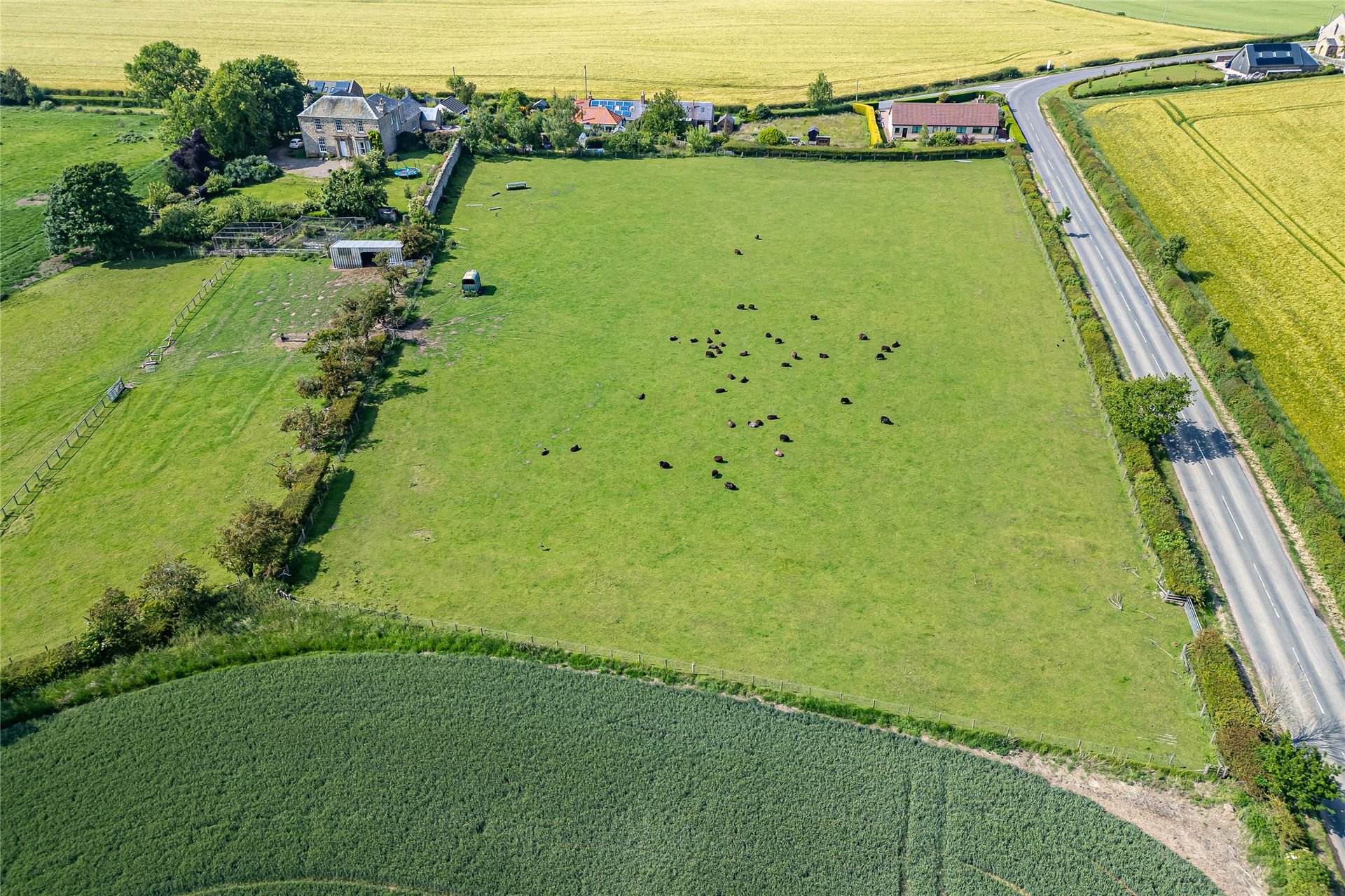 Whitsome Lea, Whitsome, Duns, Berwickshire, TD11 3NG - Picture #19