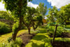 Catherine Lodge, 19 Inveresk Village, Musselburgh, East Lothian, EH21 7TD - Picture #48