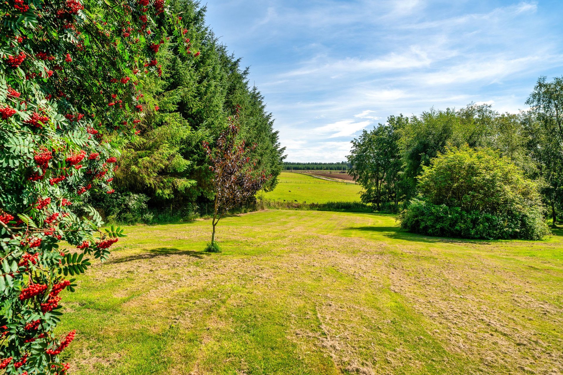 Bowmuir Lodge, Libberton, Carnwath, Lanark, South Lanarkshire, ML11 8LX - Picture #42