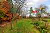 West End Cottage, High Street, Freuchie, Cupar, Fife, KY15 7EZ - Picture #37
