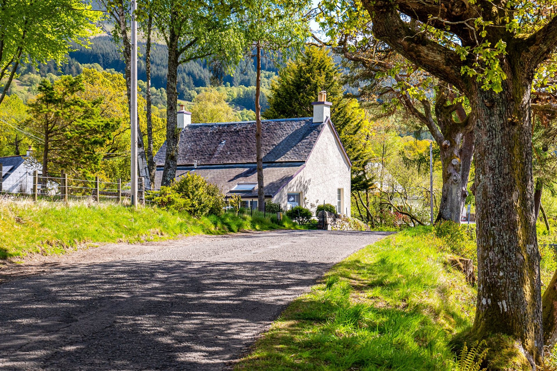 The Old School House, Kinlochard, Stirling, FK8 3TL - Picture #2