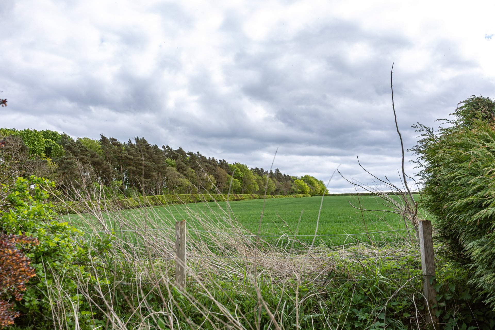 7 Rutherford Farm Cottage, Kelso, Scottish Borders, TD5 8NP - Picture #19