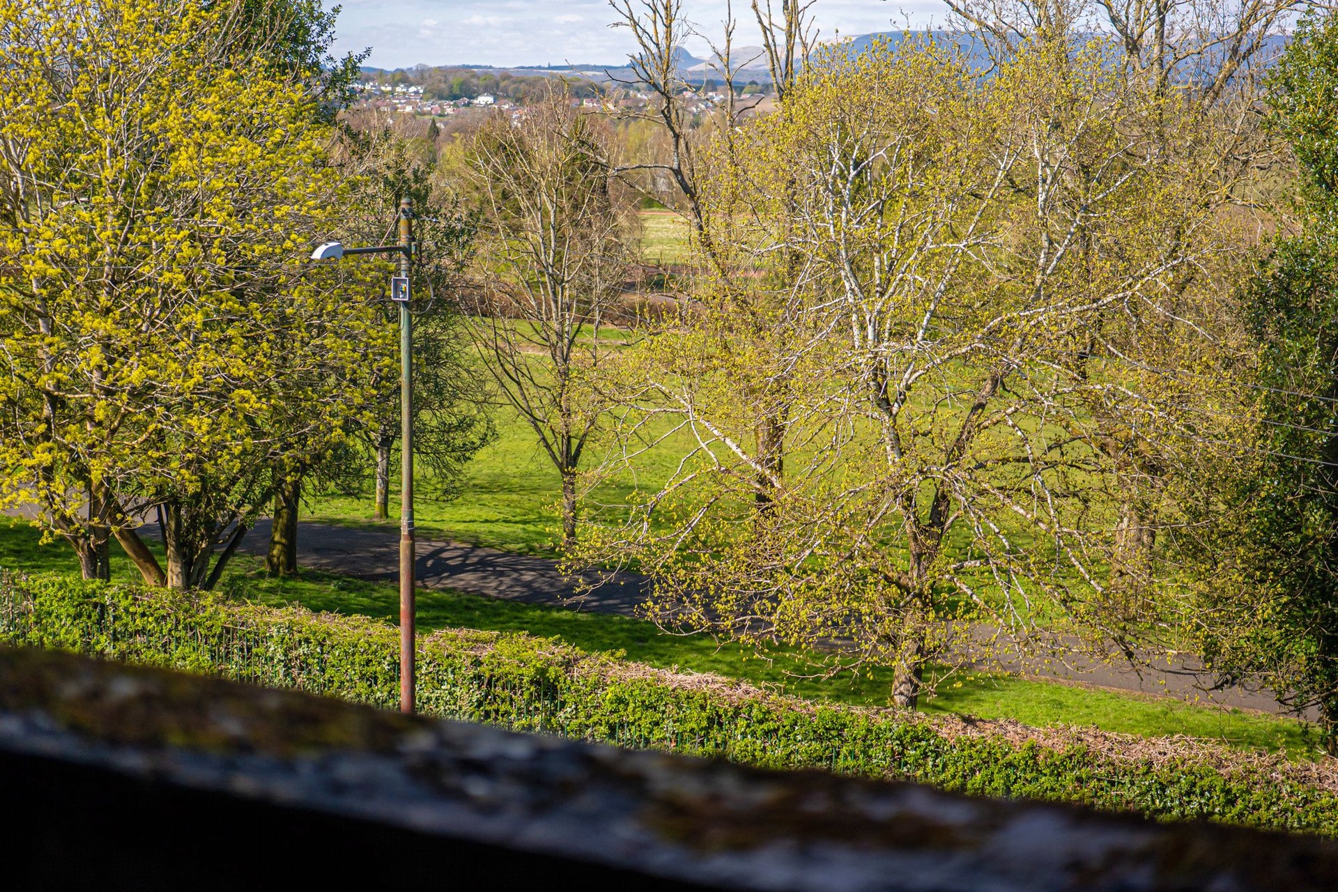 11 Spence Street, Maryhill Park, Glasgow, G20 0AW - Picture #36