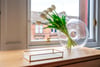 3/2, 51 Polwarth Street, Hyndland, Glasgow, G12 9TH - Picture #34