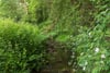 Plot at The Oaks, The Oaks, Moneydie, Luncarty, PH1 3HA - Picture #17