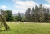 Drumtochty, Station Road, Balfron, G63 0SX - Picture #51