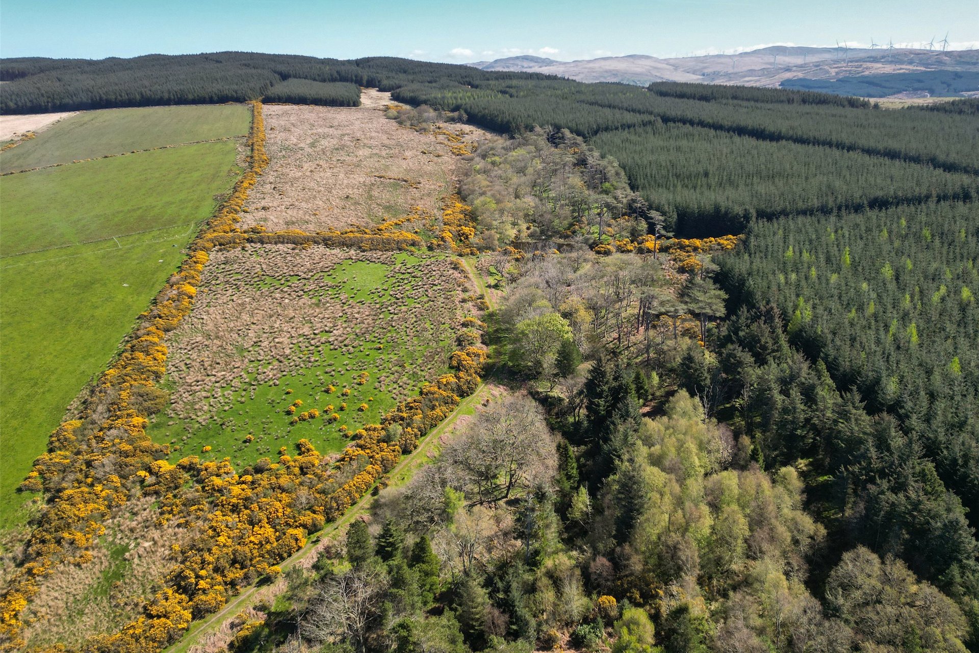 Glencreggan House, Glenbarr, Tarbert, Argyll, PA29 6UT - Picture #16