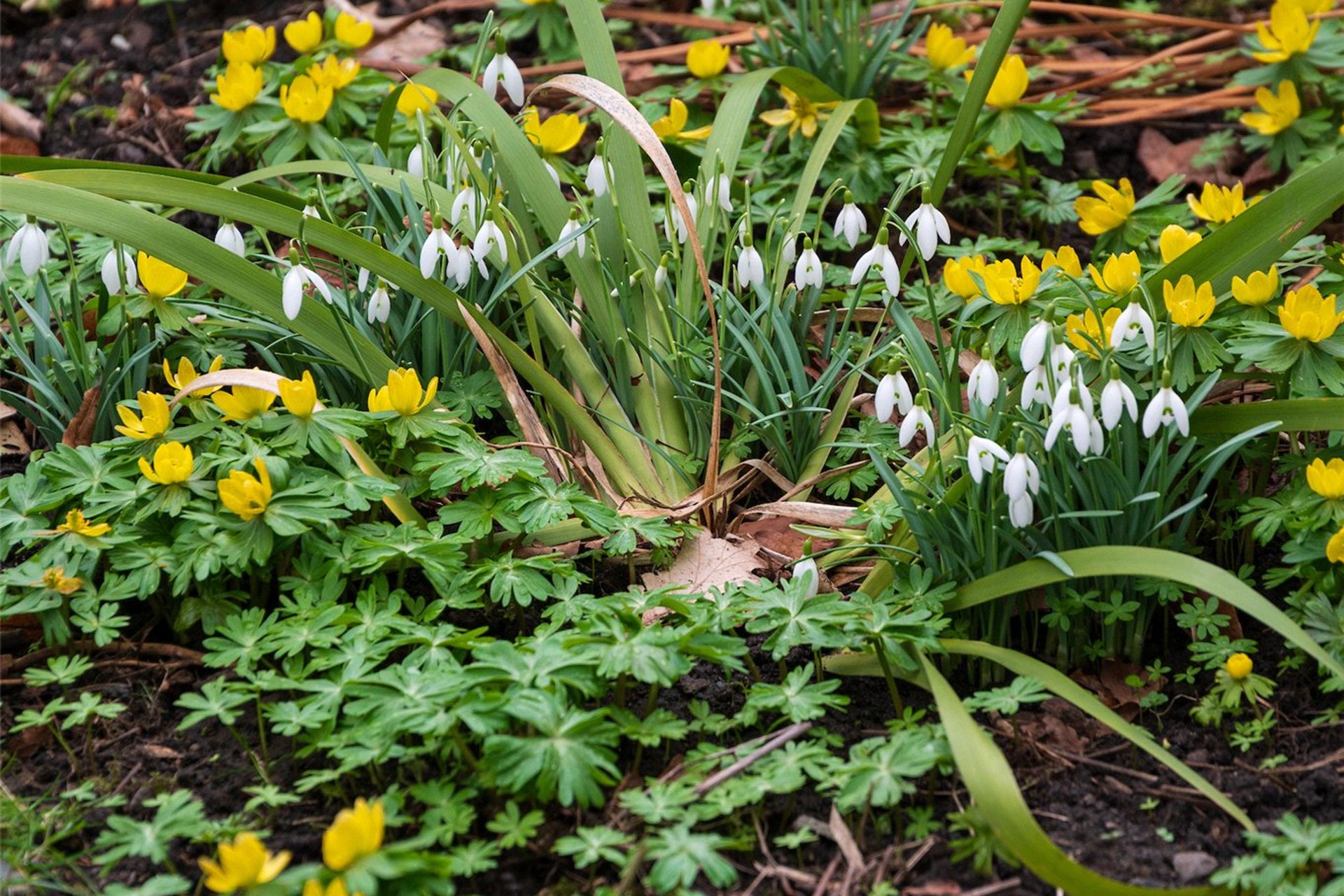 Tigh Na Darroch, Lempockwells Road, Pencaitland, Tranent, EH34 5AE - Picture #31