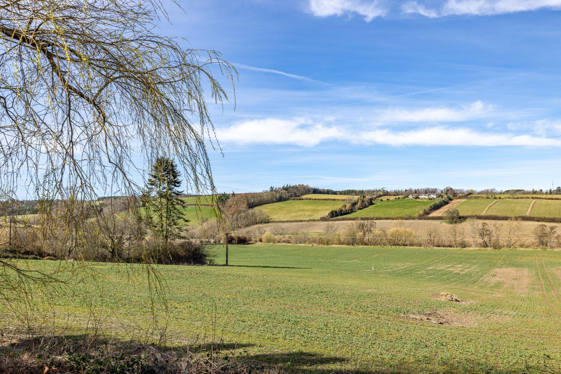 Beechcroft, Lilliesleaf, Melrose, Scottish Borders, TD6 9HX - Picture #24