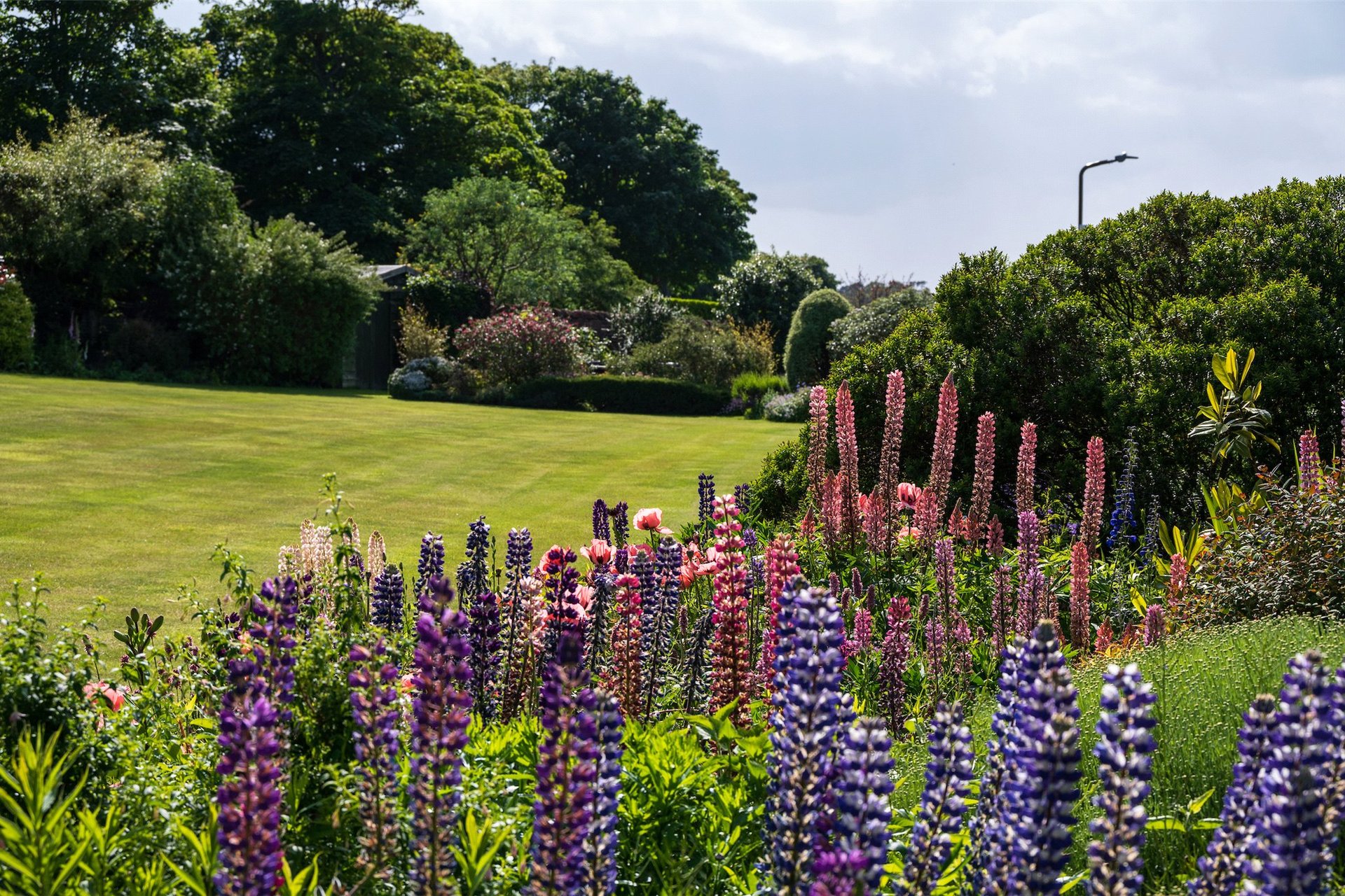 1 Quarry Court, Abbotsford Road, North Berwick, East Lothian, EH39 5DB - Picture #18