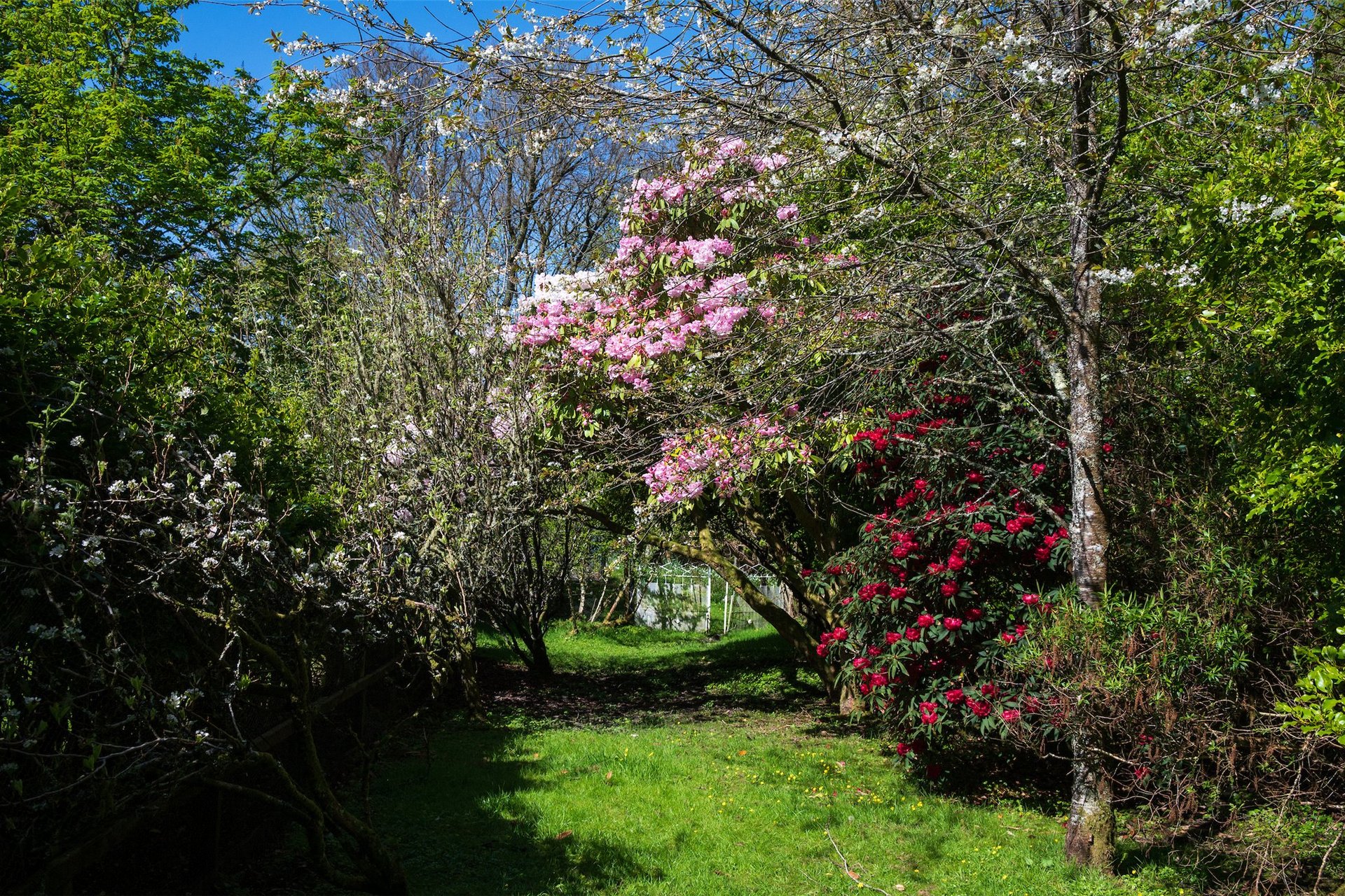 Glencreggan House, Glenbarr, Tarbert, Argyll, PA29 6UT - Picture #22