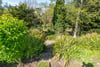 115 Cluny Gardens, Morningside, Edinburgh, EH10 6BP - Picture #32