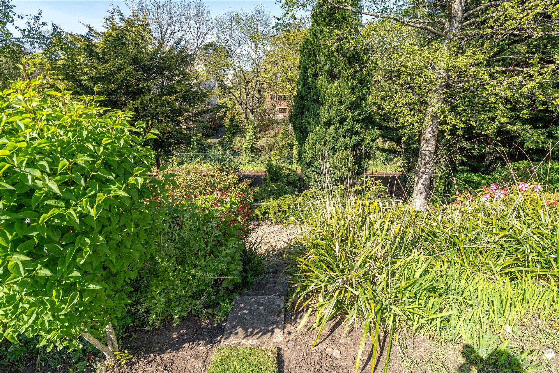 115 Cluny Gardens, Morningside, Edinburgh, EH10 6BP - Picture #32