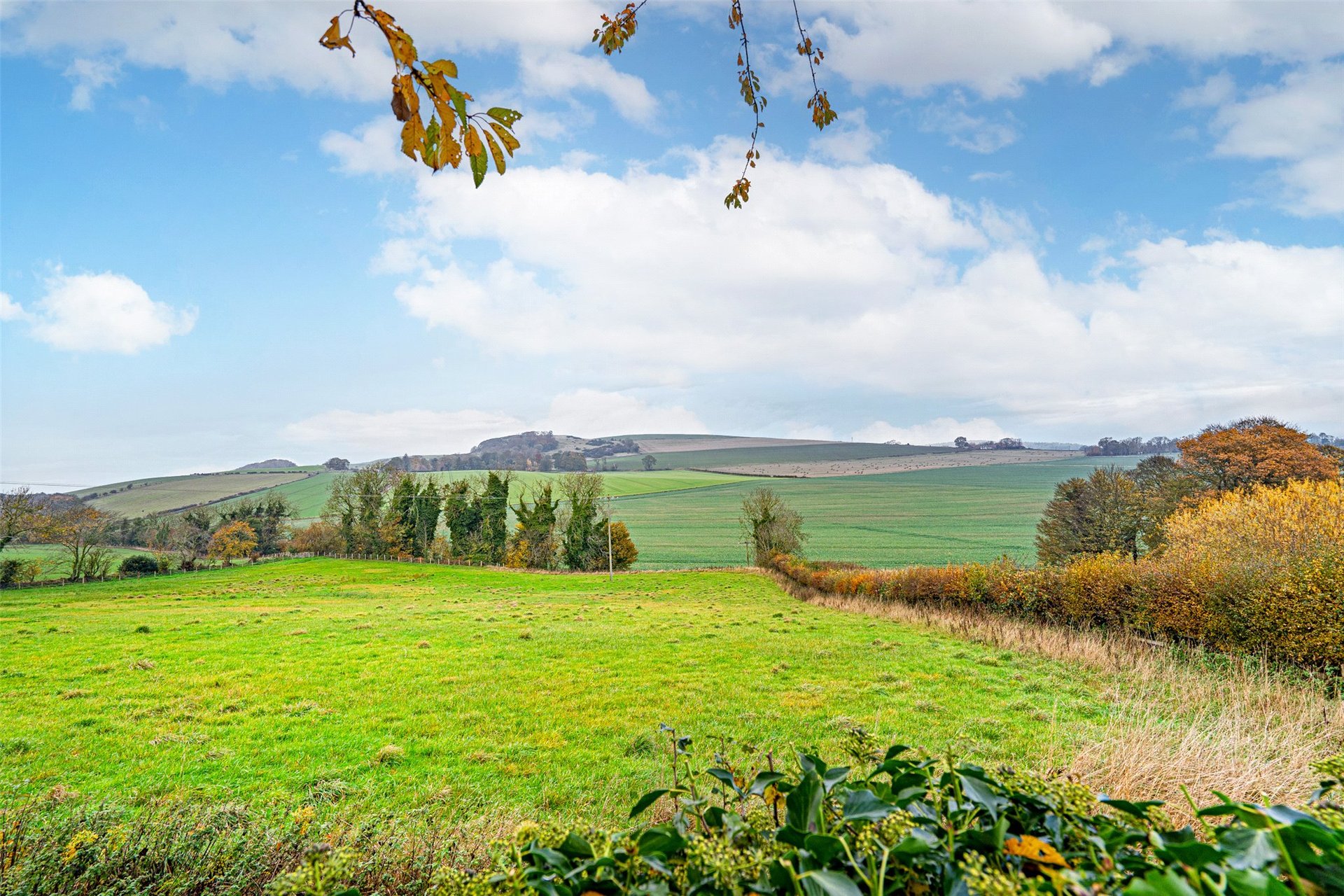 72 Main Street, Dairsie, Cupar, Fife, KY15 4SS - Picture #4