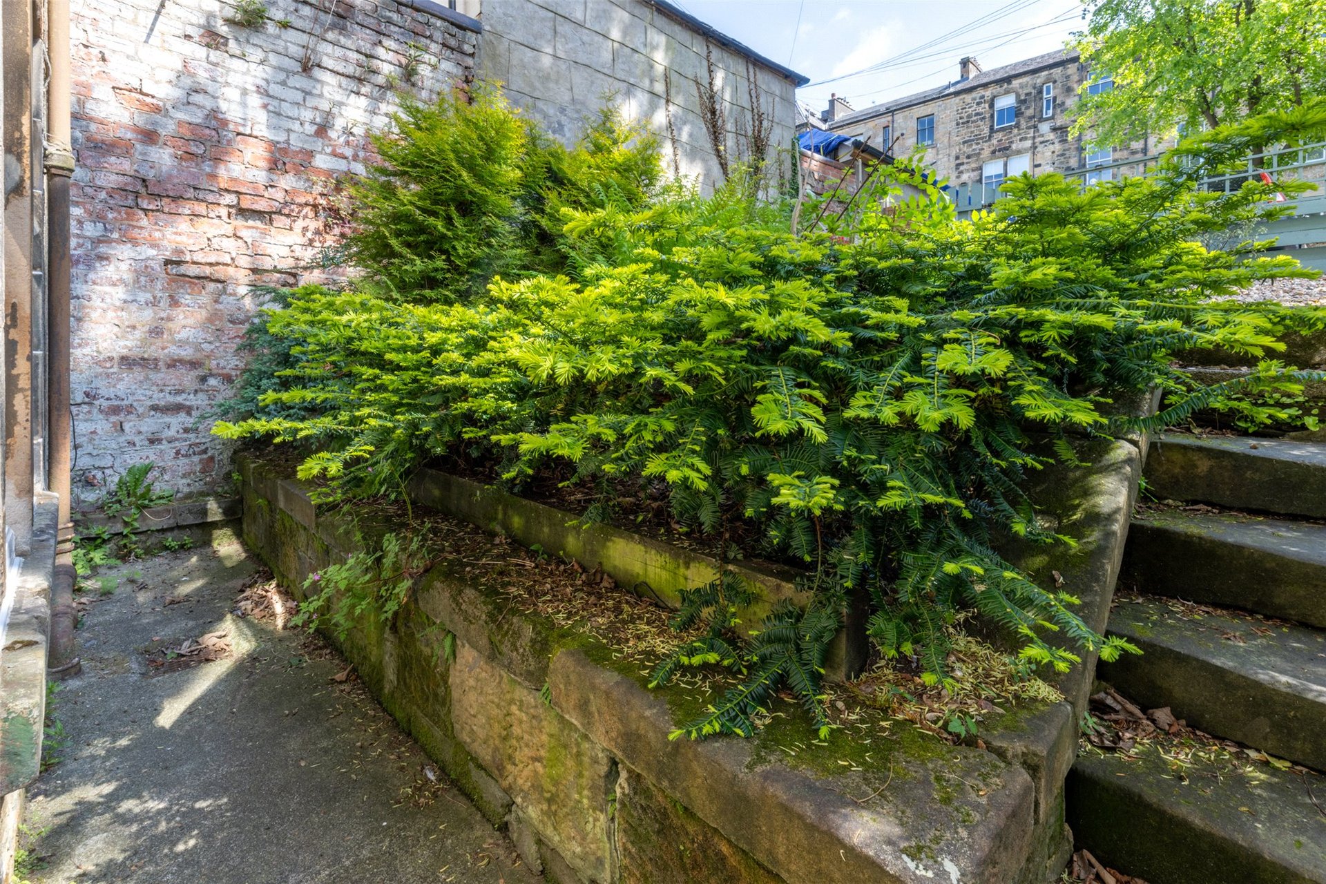 Garden Flat, 47 Hyndland Road, Hyndland, Glasgow, G12 9UX - Picture #24