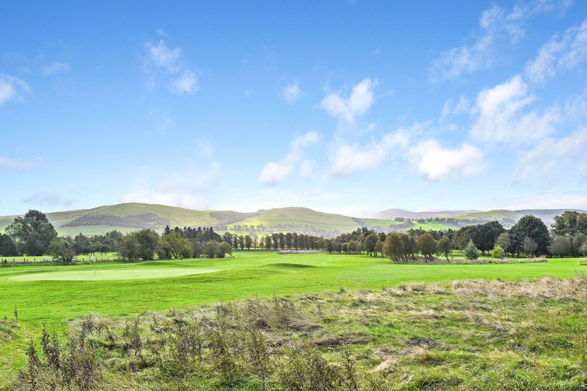 12 Southcroft Road, Biggar, South Lanarkshire, ML12 6AJ - Picture #2