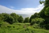 Cruicks Haining, 8 Ferryhills Road, North Queensferry, Inverkeithing, Fife, KY11 1HE - Picture #29