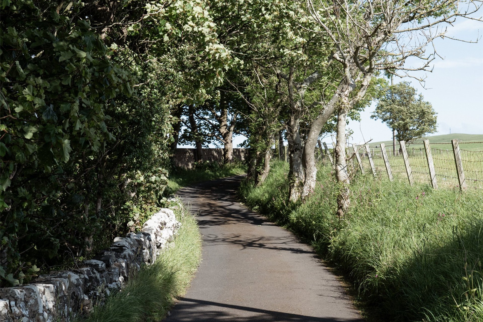 Drumbain, Fisherton, Ayr, South Ayrshire, KA7 4LG - Picture #5