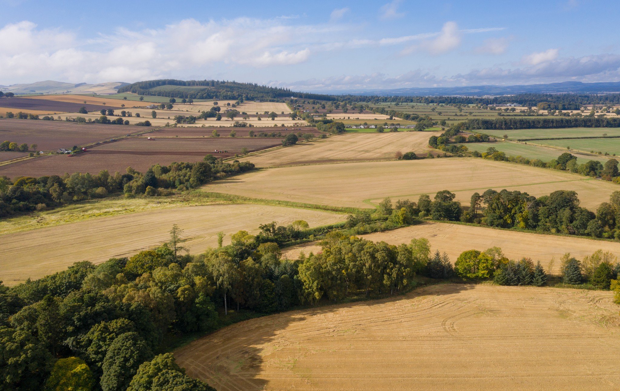 Brigton House farmland