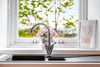 Flat 1/2, 59 Fergus Drive, North Kelvinside, Glasgow, G20 6AH - Picture #19