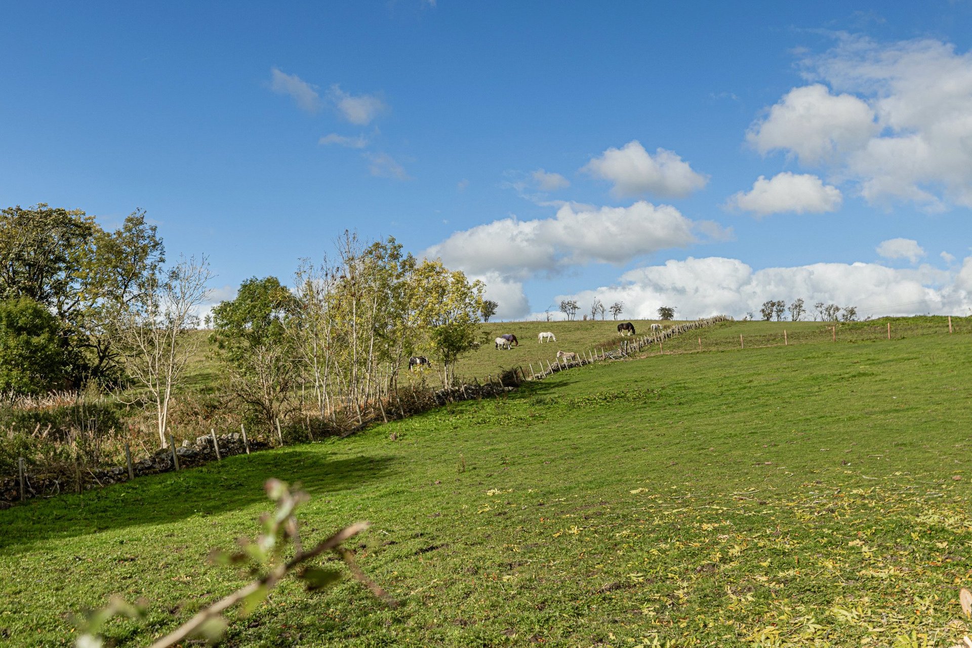 The Retreat, Wardend Road, Torrance, G64 4DG - Picture #4
