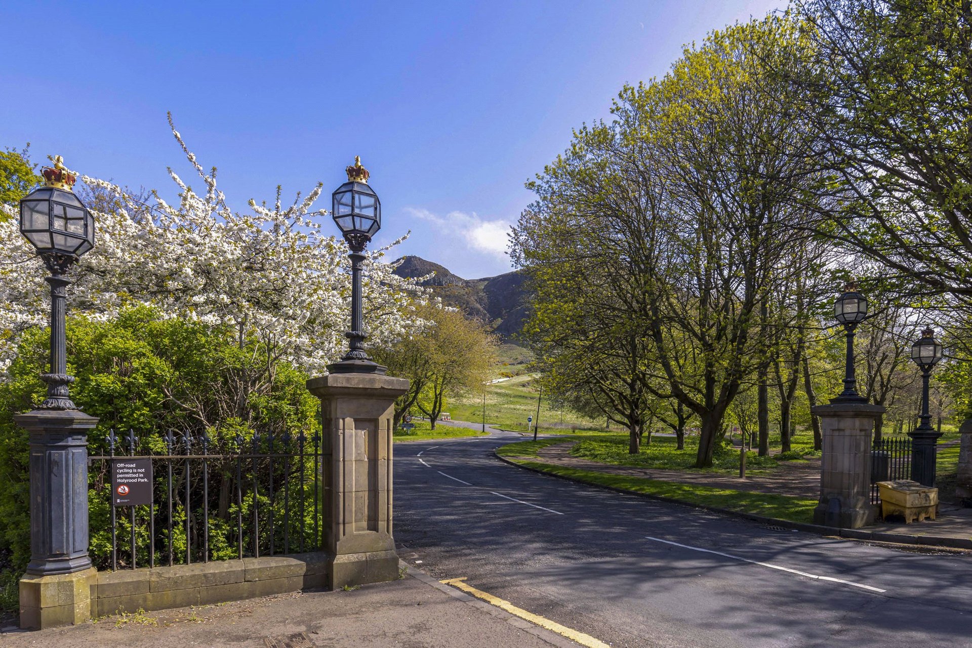 19/3 East Parkside, Edinburgh, EH16 5XN - Picture #13