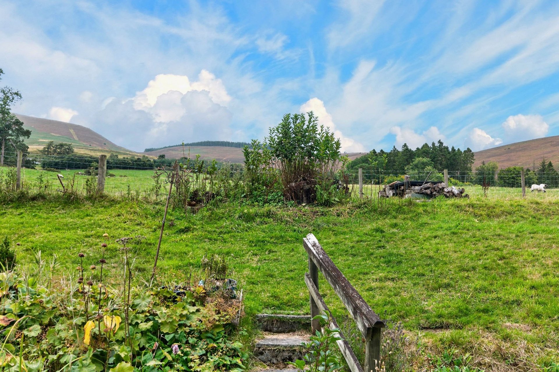 2 Fethan View, Innerleithen, Scottish Borders, EH44 6PX - Picture #20
