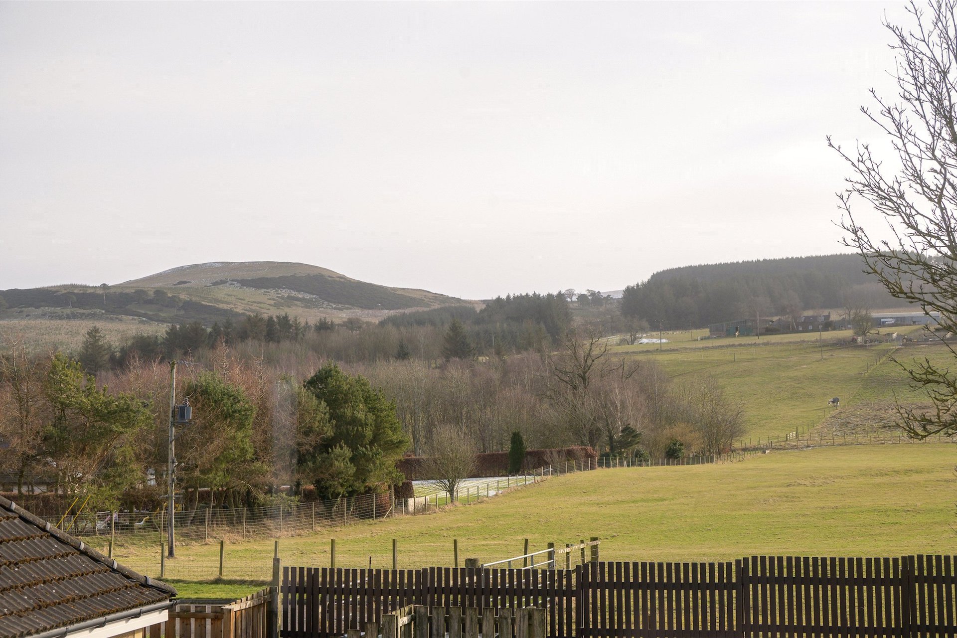15 Halmyre Loan, Romanno Bridge, West Linton, Scottish Borders, EH46 7DN - Picture #28