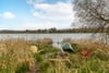 5 Robinsfield House, Bardowie, G62 6ER - Picture #47
