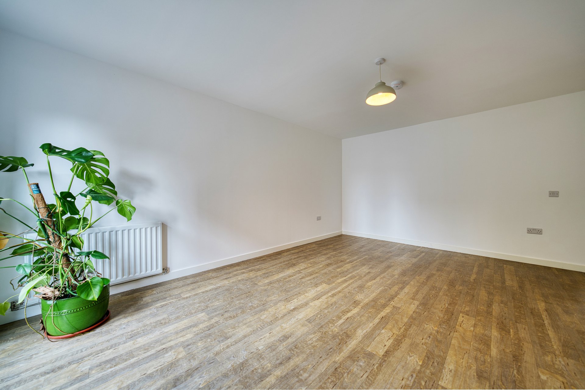 113 Nicholson Street, Laurieston, Glasgow City, G5 9AR - Picture #3