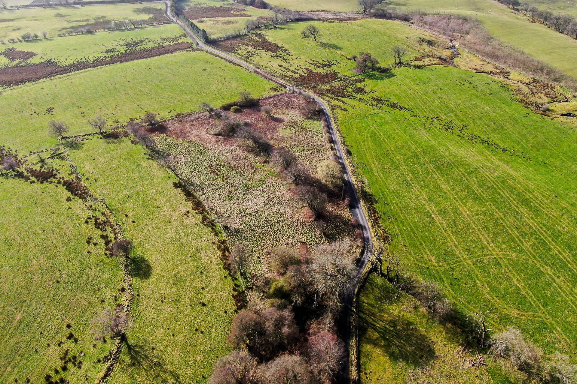 The Lands Of Westfieldhead, Auldhouse, East Kilbride, South Lanarkshire, G75 9DR - Picture #9