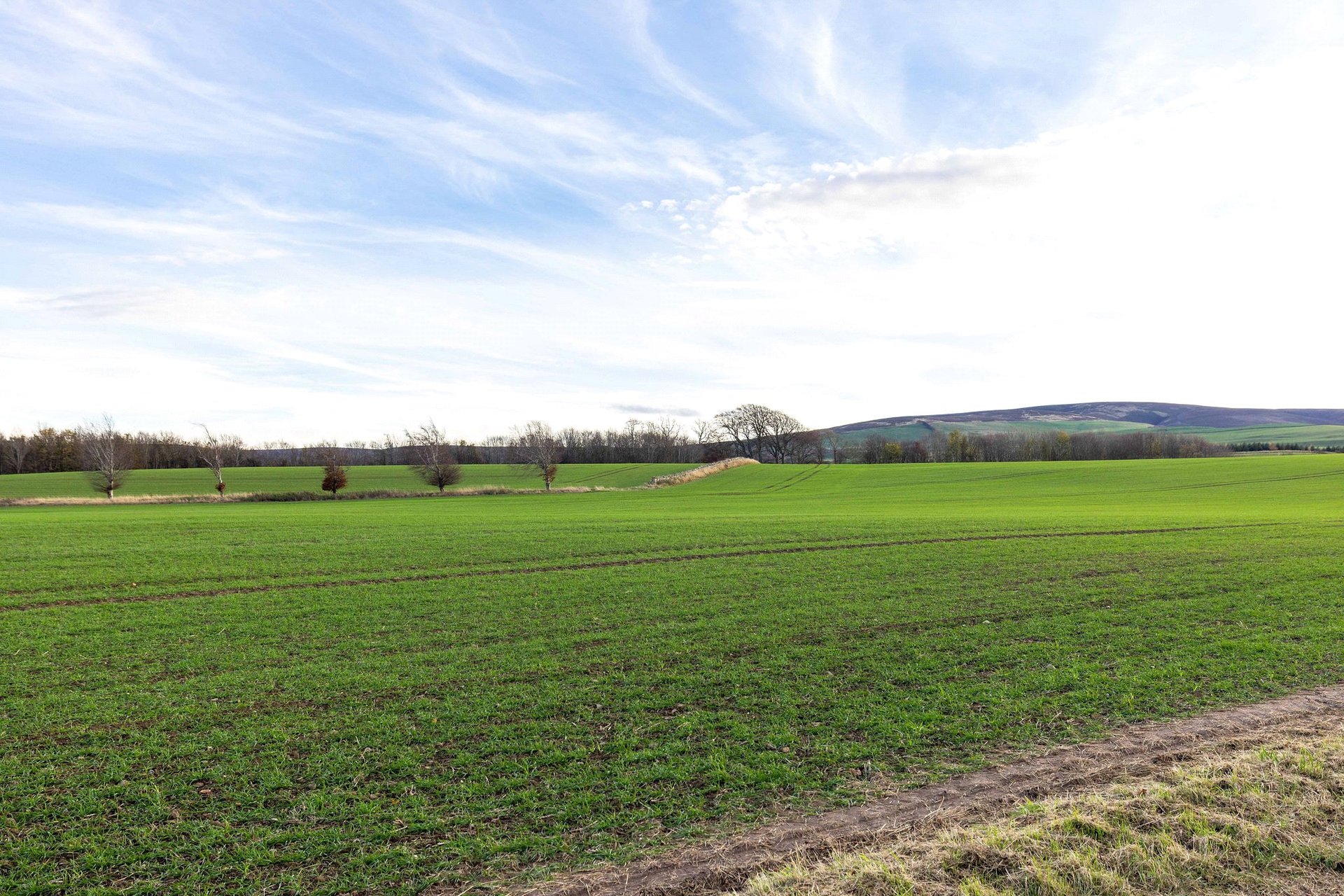 3 Skedsbush Cottages, Haddington, East Lothian, EH41 4JP - Picture #11