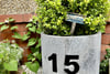 15 Pollock Road, Bearsden, G61 2NJ - Picture #36