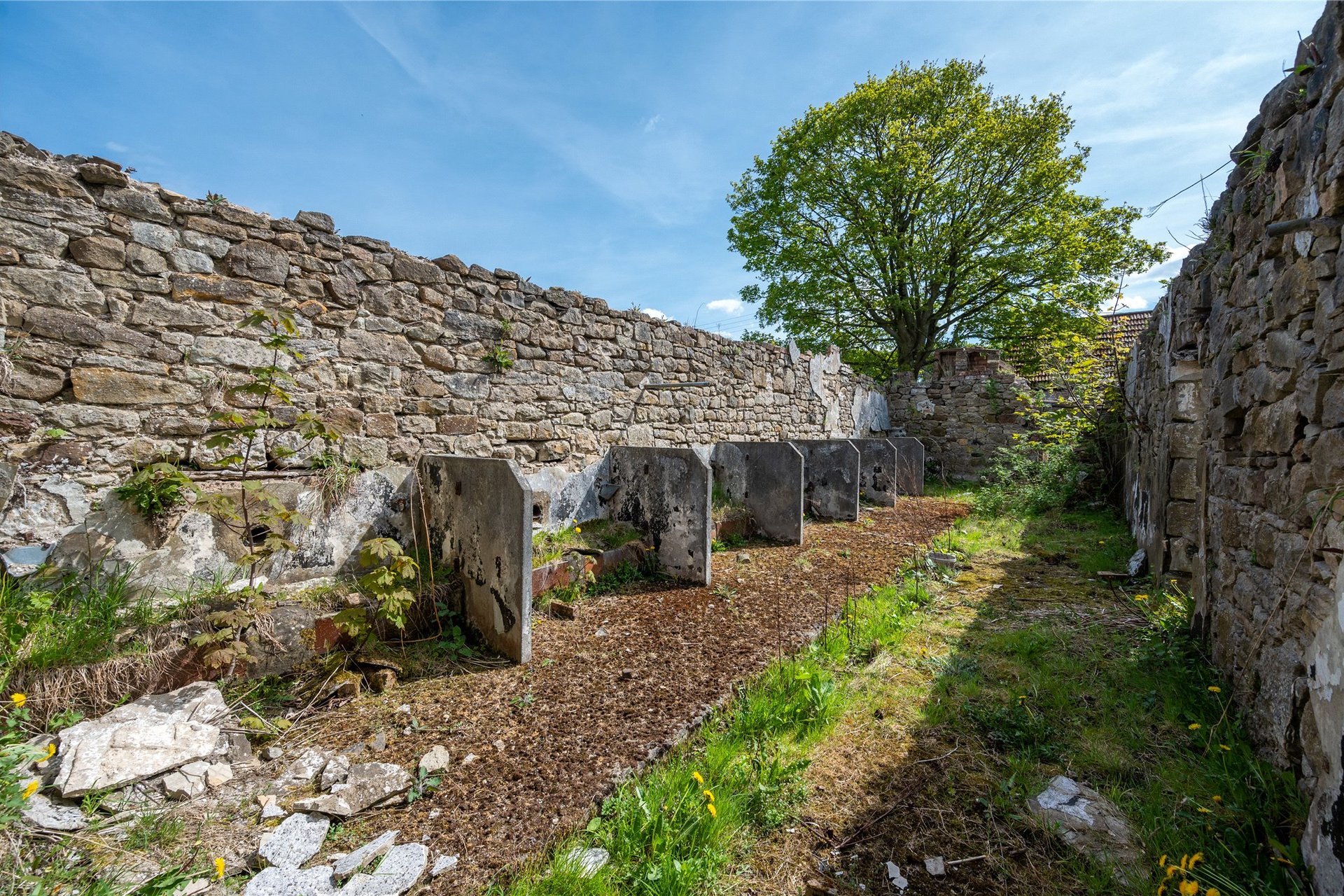 Selms Farmhouse, Kirknewton, West Lothian, EH27 8DQ - Picture #22